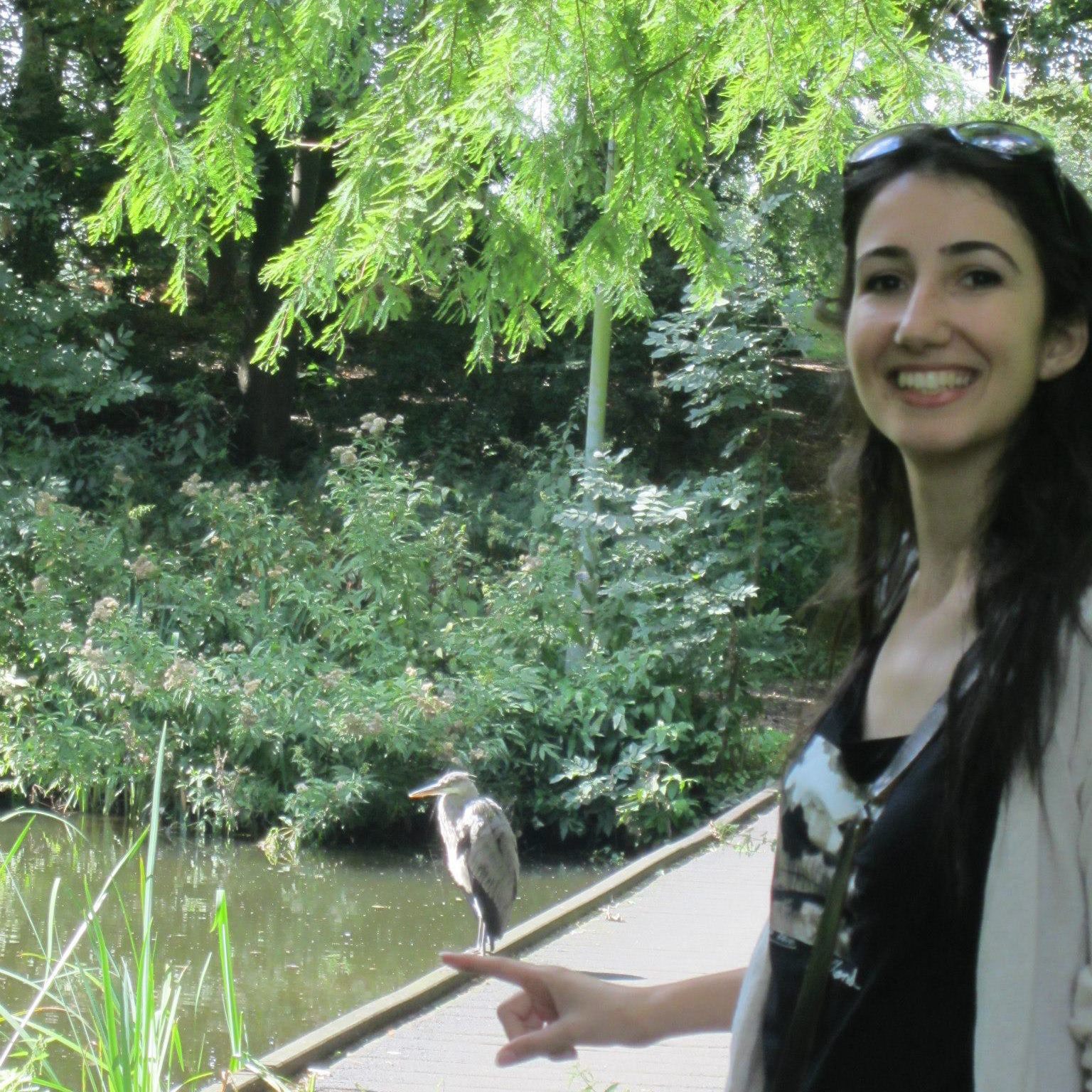 nazli ayhan nazli ayhan